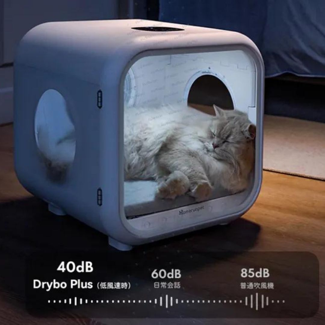 Homerun霍曼 50L 寵物智能烘乾機│寵物烘乾機│猫咪吹風機│超大空間│恆溫安全│香港三腳插頭 - 平行進口貨