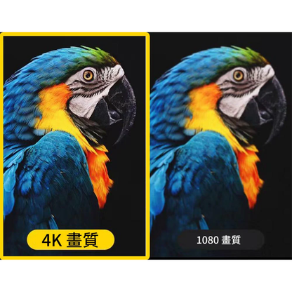 PIKIV 派克魔盒 7P Plus 電視盒子 一機兩用 AI智慧引擎